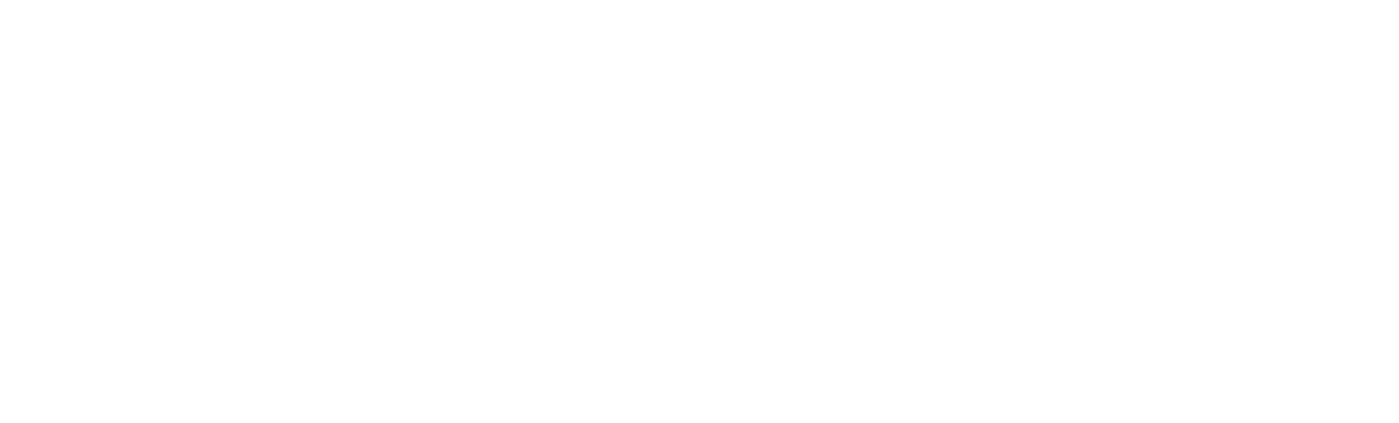 Scott Insurance Services